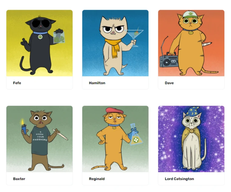 images of NFT cats