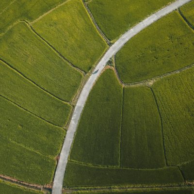 Impact at FIRST | 2024 Sustainability Report